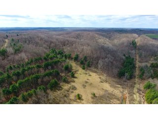 Property photo 36 - LAND AUCTION - 2,596+/- ACRES IN 28 TRACTS IN COSHOCTON & MUSKINGUM COUNTIES, OHIO